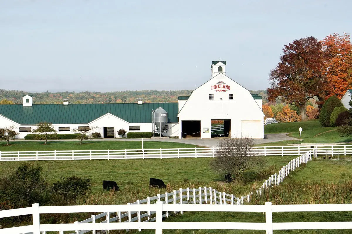 The-Magic-of-Pineland-Farms Rogue Life Maine