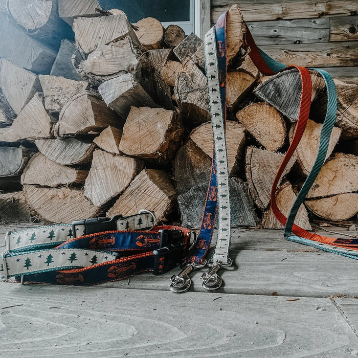 Maine Dog Collars and Leashes ROGUE LIFE MAINE Accessories