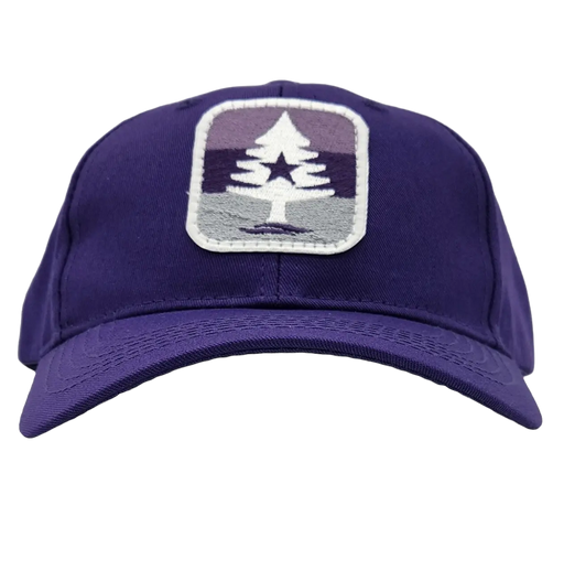 Youth Mauve Stripe 7 Twill Hat SHOP ROGUE WEAR Hats Color-Purple